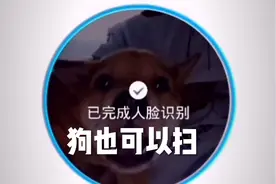 和平精英：又出人脸识别了，真的烦啊！视频封面