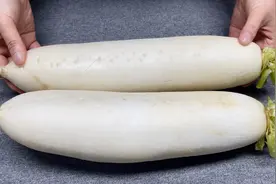 5块钱的白萝卜，揭秘快速腌制萝卜，不用晒不用泡，看完你也试试