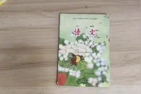 江苏90年代实验课本，小学语文第五册视频封面