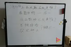 莱茵生物和京粮控股，谁是真龙？视频封面