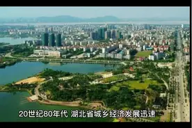 共同富裕：武汉江夏撤区设市或设武昌新城的必要性研究视频封面