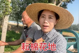 顶着36度高温，77岁公公帮鹏妈耘地，想起这8年多真是辛苦了公公视频封面