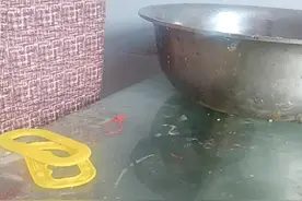 蛇进屋里了视频封面