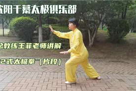 沈阳千慕太极俱乐部总教练王菲老师讲解《32式太极拳》片段视频封面