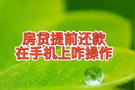 房贷提前还款，利息少还几十万，教你在手机上怎么提前还房贷视频封面