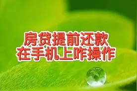 房贷提前还款，利息少还几十万，教你在手机上怎么提前还房贷视频封面