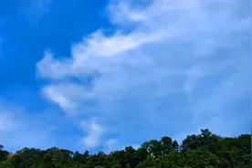 桃花散尽春已暮，不觉芳菲已入夏视频封面
