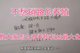 如何把一只狗利益最大化？不愁销路的养殖视频封面