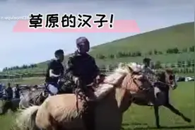 我的草原我的马视频封面