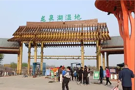 石家庄鹿泉区龙泉湖湿地公园视频封面