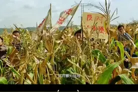告诉你什么是黑恶势力#电影扫黑决站视频封面