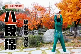 传承千年养生操《八段锦》每天练一练 可使瘦者健壮肥者减肥视频封面