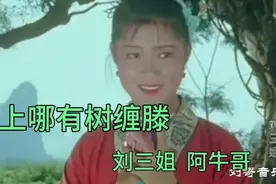 电影《刘三姐》原声：刘三姐 阿牛哥经典对唱《世上哪有树缠藤》视频封面
