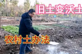 菜园种菜，别再用农药为土壤消毒了，2个简单安全方法很好用视频封面