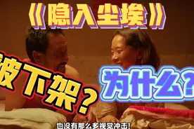 《隐入尘烟》为什么被下架？原因很简单：打了众人的“脸”视频封面