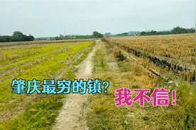 实拍：广东肇庆最落后的镇，感叹肇庆发展实在太快了视频封面