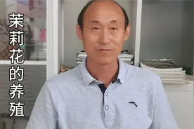 茉莉花的日常管理中，开春第一件要做的事是剪枝，这才是正确剪法视频封面