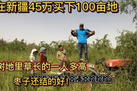在新疆45万买下100亩地，王哥真的赚大了！把易老二羡慕到不行视频封面