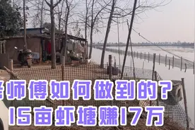 探访荆州江陵县亩产12000元龙虾养殖户，虾塘环境让人难以置信视频封面