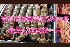 最贵130块钱一斤，实拍青岛市场常见五种大虾，吃过都说好视频封面