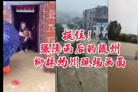 湖北随州，强降雨后的柳林，洪峰也到达均川，现场画面视频封面