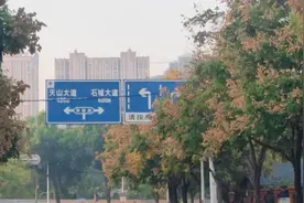 铜陵市学院路与谢垅路交叉口边上一一铜陵市笫一中学！！！