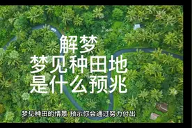 解梦，梦见种田地是什么预兆视频封面