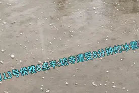 6月13号傍晚6点半——山东聊城高唐琉璃寺遭受冰雹袭击，大的如杏视频封面