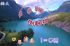 口琴演奏：经典红歌《浏阳河》《刘紫玲》演唱音色甜美，C调