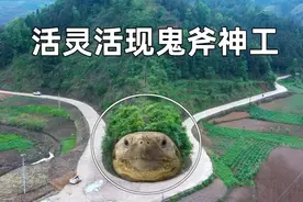 在贵州大山里发现个“千年神龟”，颈部是电线杆，公路都绕着它走视频封面
