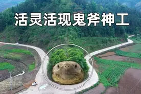 在贵州大山里发现个“千年神龟”，颈部是电线杆，公路都绕着它走视频封面