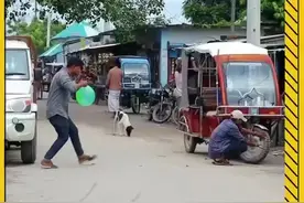 国外恶搞搞笑视频图片