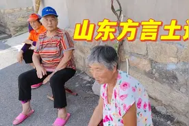 山东方言太好玩了，都是山东人不一定能听懂，看看你能听懂不视频封面