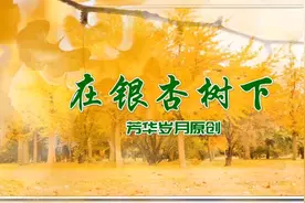 男女声对唱《在银杏树下》，轻柔舒缓的音乐给人带来美的享受视频封面