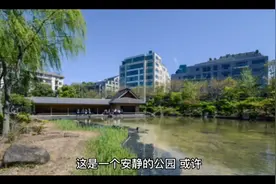 苏醒视频封面