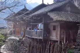 养子能养老视频封面