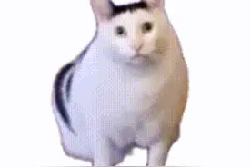 什么都守护不了，不如就是个废。