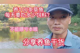 养鱼秘诀18:养100条草鱼每天要吃多少饲料？全是干货看完长知识了视频封面