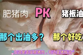 肥猪肉与猪板油那个出油率高？那个的油好吃呢？视频封面