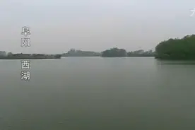水中掠食者      阜阳西湖下视频封面