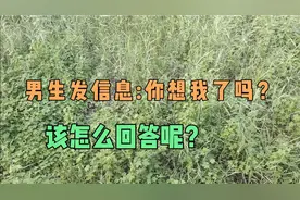 收到对方发的信息，怎么回答才能让他为你着迷，一定要来看看哦。