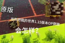 当你把我的世界1.15版本op倒放 会怎样？视频封面