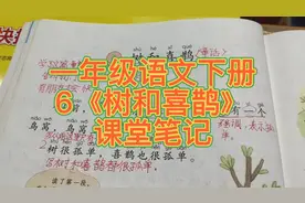 一年级语文下册6《树和喜鹊》课堂笔记，关注我辅导孩子更轻松！视频封面
