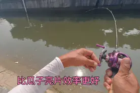 这是一款微物必备的饵，可以轻松打破龟咒