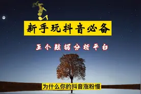 新手玩抖音必备的5个数据分析平台(前几个免费🆓😇）