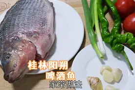 桂林阳朔啤酒鱼最地道做法，鱼肉鲜嫩无腥味，汤汁淋饭越吃越想吃视频封面