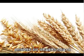 传统工艺之曲药