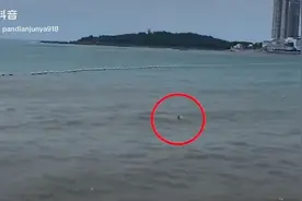 #天下谁是英雄视频封面