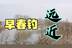 早春钓远还是钓近？野河实际作钓告诉你答案，不是爆护就是空军视频封面