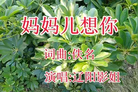 催人泪下《妈妈儿想你》你在何方 听哭了多少父母不在身边的人视频封面